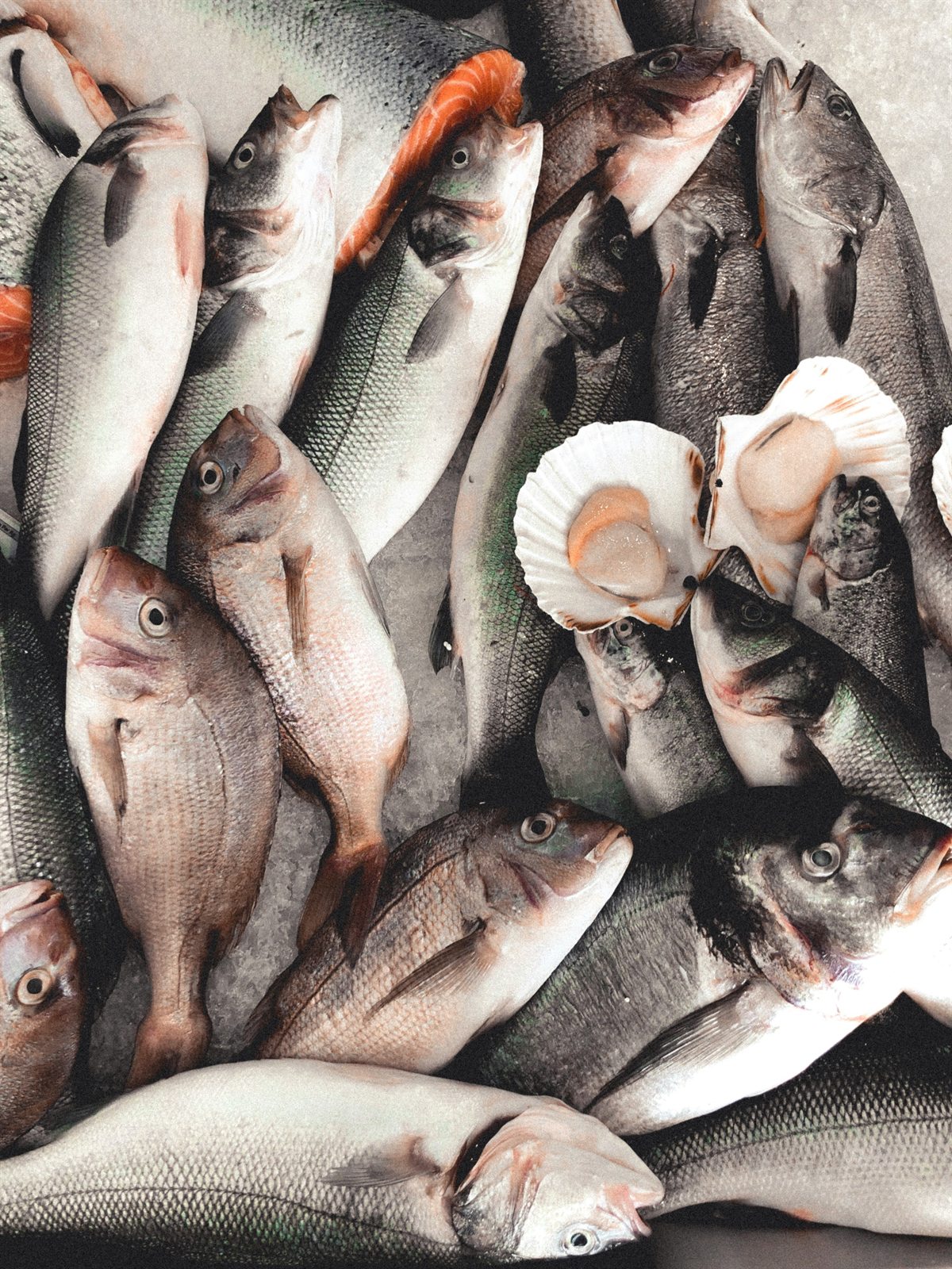 Étal de poissonnerie et produits de la mer
